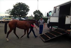 2014 Golden Slipper Winner Mossfun heading to @EmiratesPark for well deserved spell