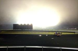 A little bit of Fog this morning @rosehillgardens