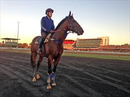 ATH enjoying the view at flemington this morning