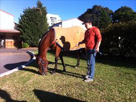 Andriy with Jolie Bay the morning after her magnificent G2 win