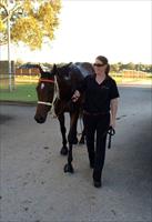 Bonsai and Britt after his fantastic win @atc_races Canterbury...