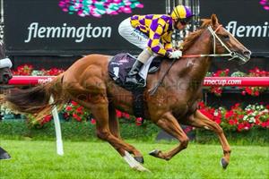 Bugatty very dominant today @FlemingtonVRC with more improvement to come