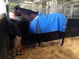 Caught !!! @TommyBerry21 checking out his competition this morning @rosehillgardens #LaAmistad