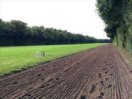 Chantilly would have to be one of the most beautiful horse training centres I have ever seen... Horses are so relaxed