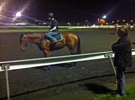 Chris Barham casting his eye over his filly Jolie Bay at Rosehill trackwork