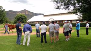 Inspecting Widdens 2011 Magic Millions Yearlings