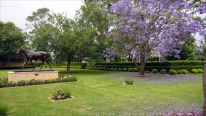 Coolmore stallion barn