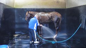 Hosing down after trackwork