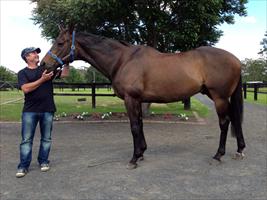 Darren Beadman with the mighty Grand Armee... Looking fabulous