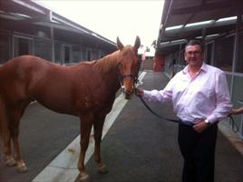 David Reid with flying spur/trissie colt at flemington