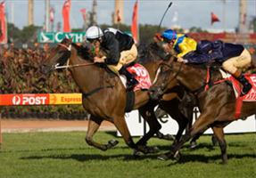 Forensics wins our second Golden Slipper