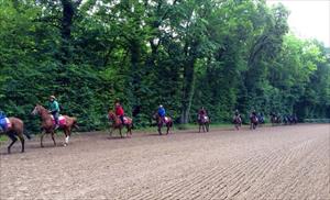 Freddy Heads string out on the track about to have their morning exercise