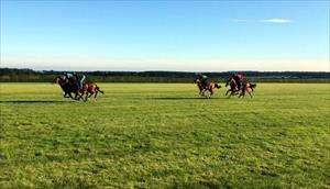 Gallops @Newmarket