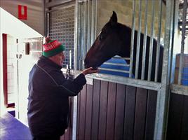 George feeding Stratford carrots