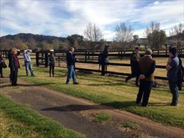 Hawkes Racing clients looking @VineryStud stallion Pluck