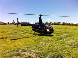 Helicopter joy flights at Highgrove