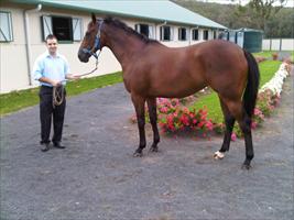 Brad Crismale with Zabeel x Wanaka Filly