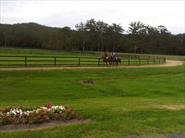 Horses working at Limitless Lodge