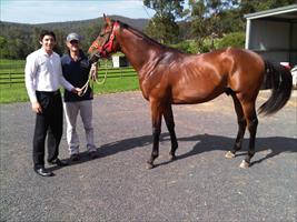 Happy owner  Wes Holland with  Tim Boland and the Postponed x Forlorna Colt