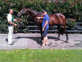 Bruce McAlister with champion Zabeel