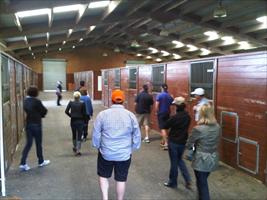 Windsor Park yearling barn