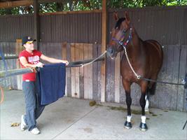 Britt at Warwick Farm trials with Shadowofexcellence