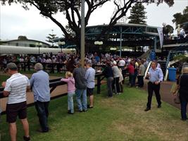 Inglis Classic Sale 2013