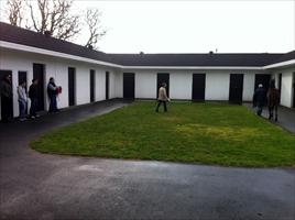 Inspecting yearlings at Pencarrow Stud