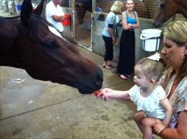Jason Taylor's daughter Jessica giving Stratford carrots after his win