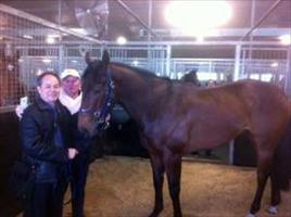 John and Mr Ng with Inventive at Rosehill Stables