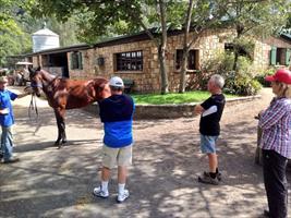 John with Bob and Wendy LaPointe looking at yearlings at Muskoka Farm