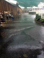 Just a little storm here @rosehillgardens