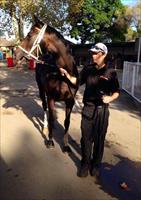 La Amistad after her outstanding performance at Warwick Farm !!!