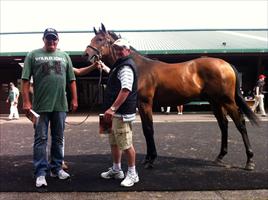 Karaka 2012 ... Lot 152 Zabeel x Dawninsky colt