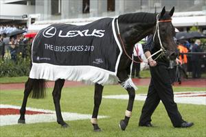 Maluckyday parades with the LEXUS rug