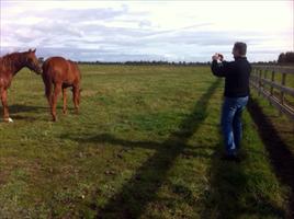 Mark Davis taking happy snaps of his new best mate Strategic x In The Club gelding