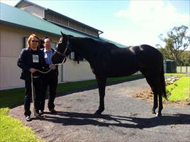 Michael Tang and Michael Lam with their horse 'Greenwich' at Limitless Lodge