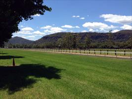 Muskoka Farm looking magnificent