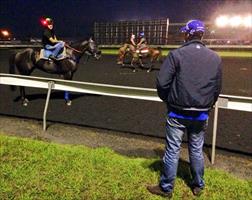 Owner Andrew Williams casting his eye over Mecir in the lead up to the NJC Newmarket Hcp