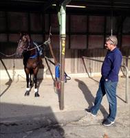 Owner Tony Brennan at Randwick trials looking over his horse More Than Frank