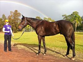 Rainbow Styling enjoying the QLD sunshine