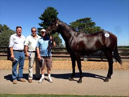 Rob Mitchell, Wayne Forrest and John with their new horse... Melbourne Premier Sale Lot 238 Al Maher x Aspire Coly