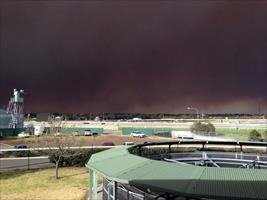 Smoke from the NSW fires turns day into night Rosehill Gardens