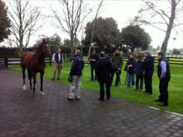 Steve Till talks to the group about their new Stallion 'Rip Van Winkle'