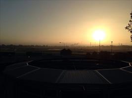 Sunrise at Rosehill