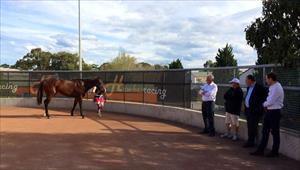 The @ArrowfieldStud team with JRH