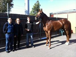 The boys with Luck San at Flemington