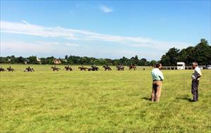 William Haggas and @lucacumani out and about @NewmarketRace overlooking their horses