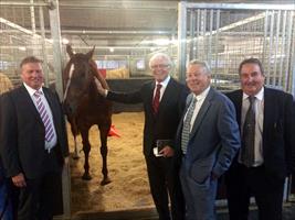 Winners r grinners.The Perth connection (Rob,Nick,Glyn and Wayne) with their champ #entirelyplatinum @rosehillgardens