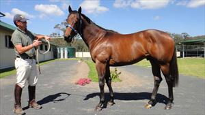 Tim Boland With Scaredee Cat Colt